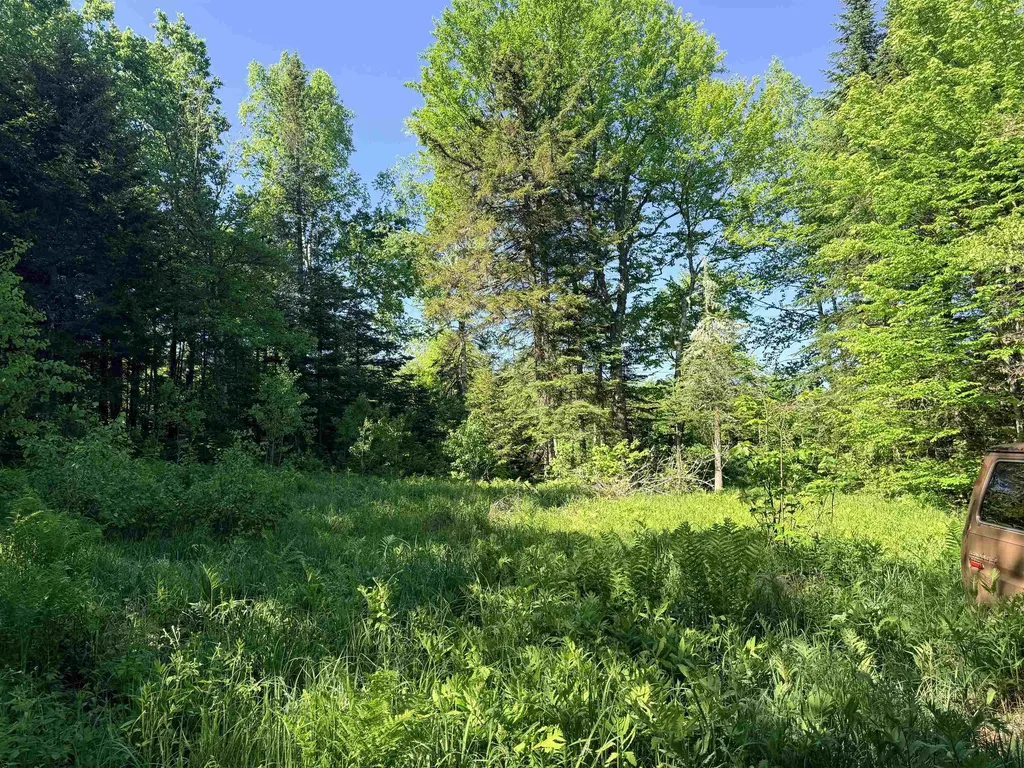 00 Tug Mountain Road Lunenburg VT 05906