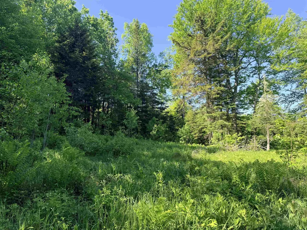 00 Tug Mountain Road Lunenburg VT 05906