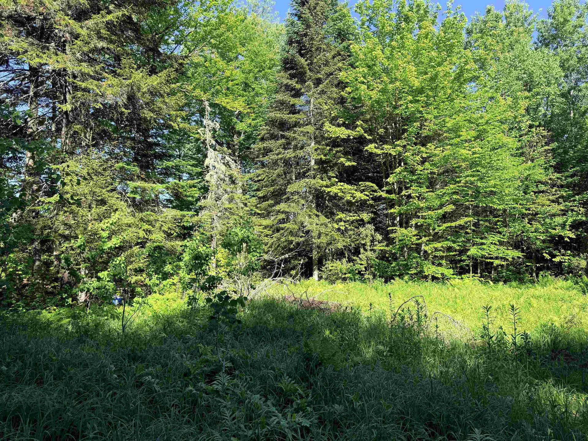 00 Tug Mountain Road Lunenburg VT 05906