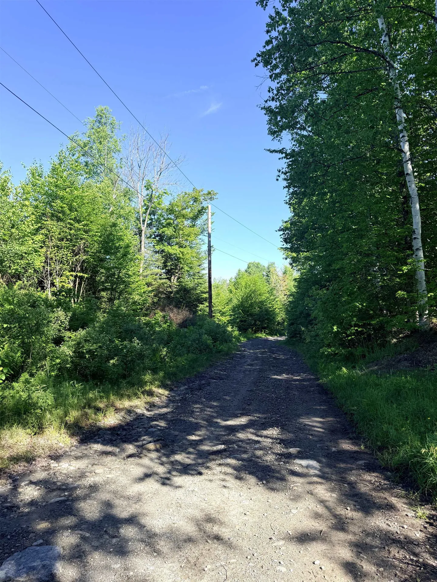 00 Tug Mountain Road Lunenburg VT 05906