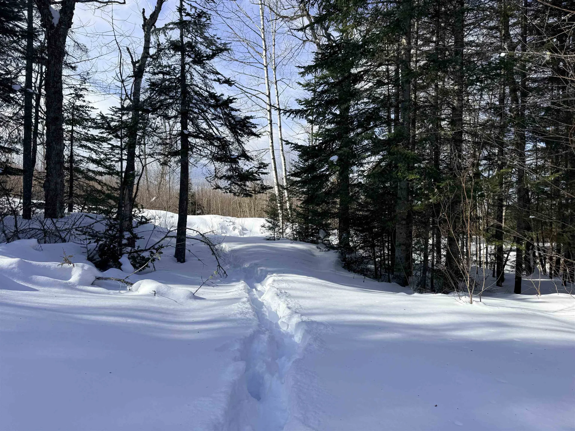 00 Tug Mountain Road Lunenburg VT 05906