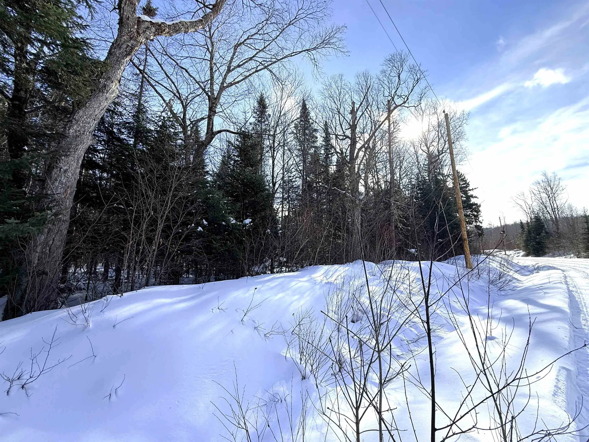 00 Tug Mountain Road Lunenburg VT 05906