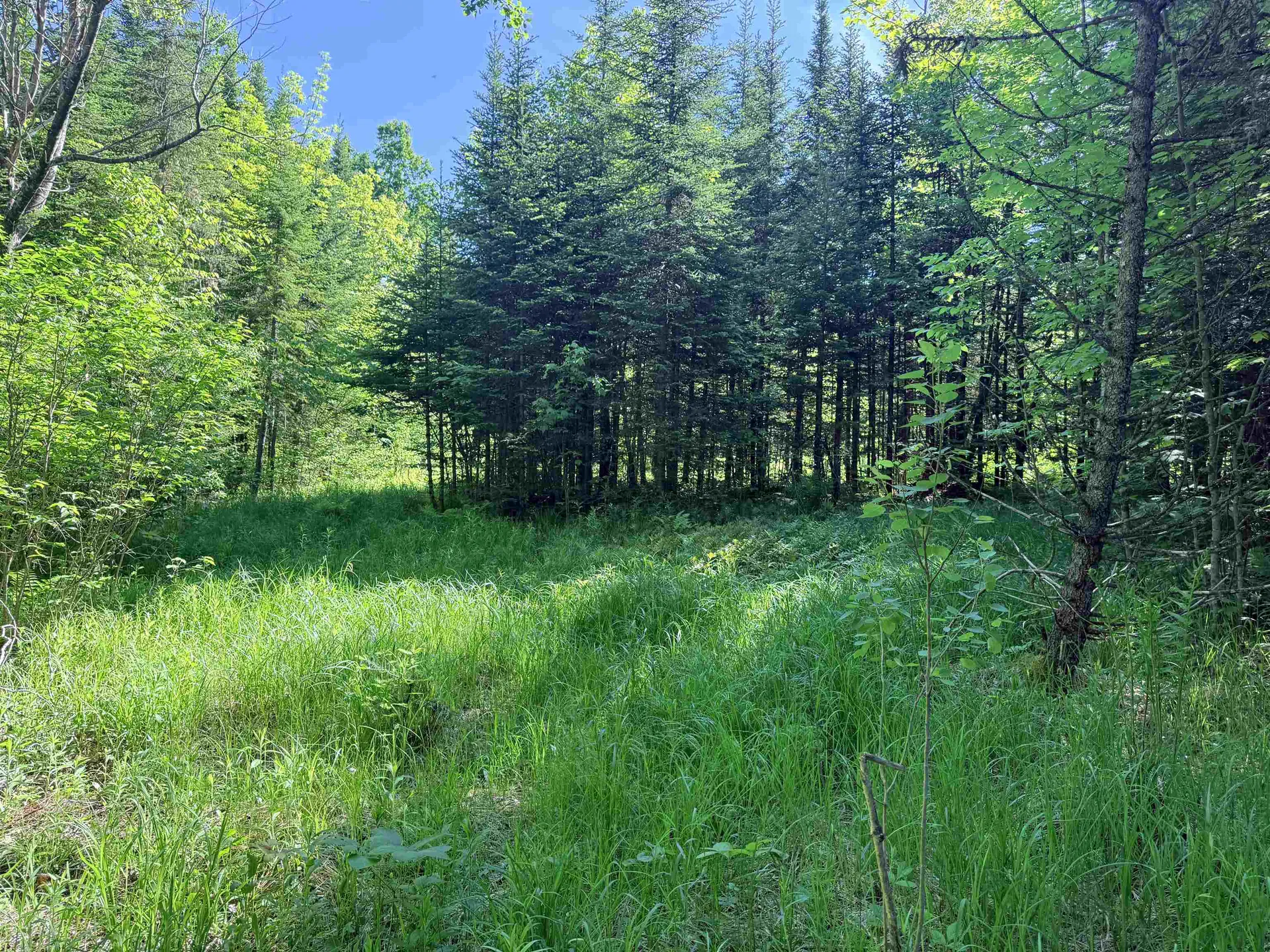 00 Tug Mountain Road Lunenburg VT 05906