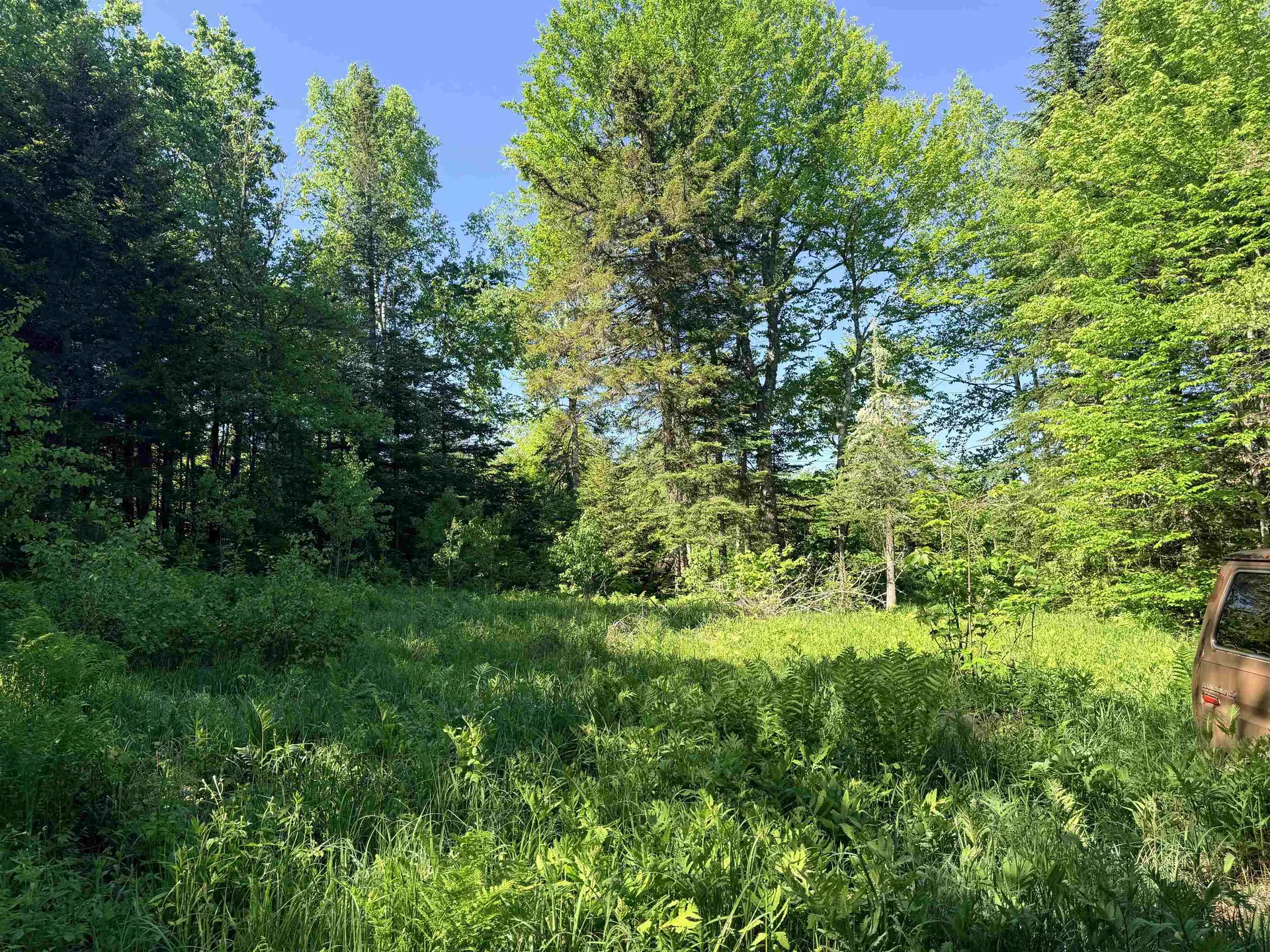 00 Tug Mountain Road Lunenburg VT 05906