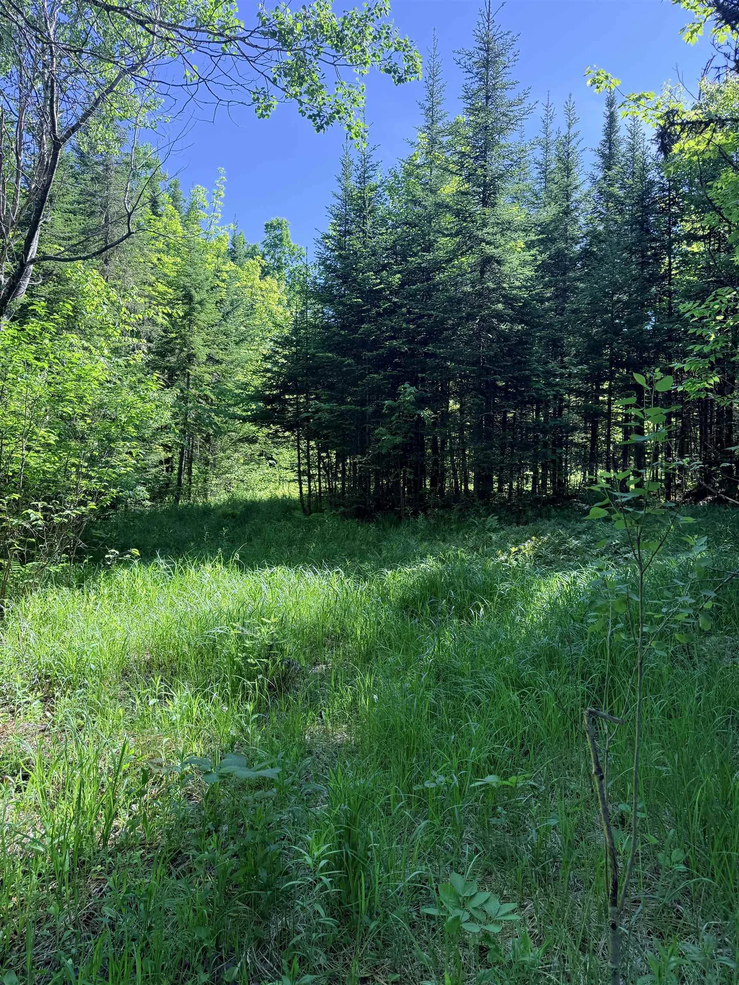 00 Tug Mountain Road Lunenburg VT 05906