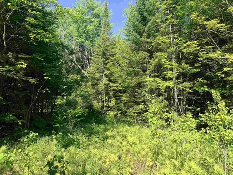 00 Tug Mountain Road Lunenburg VT 05906