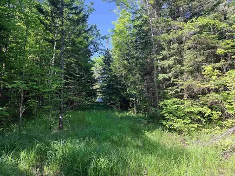 00 Tug Mountain Road Lunenburg VT 05906