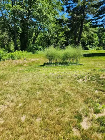 253 Back Ashuelot Road Winchester NH 03470