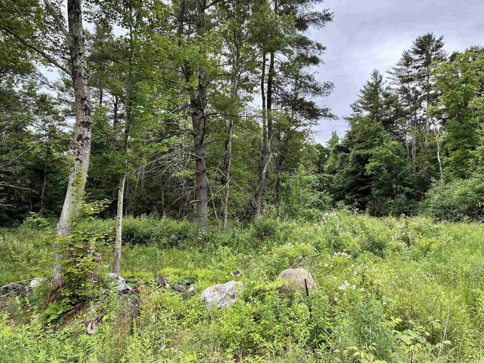 333 Us Route 5 Westminster VT 05158