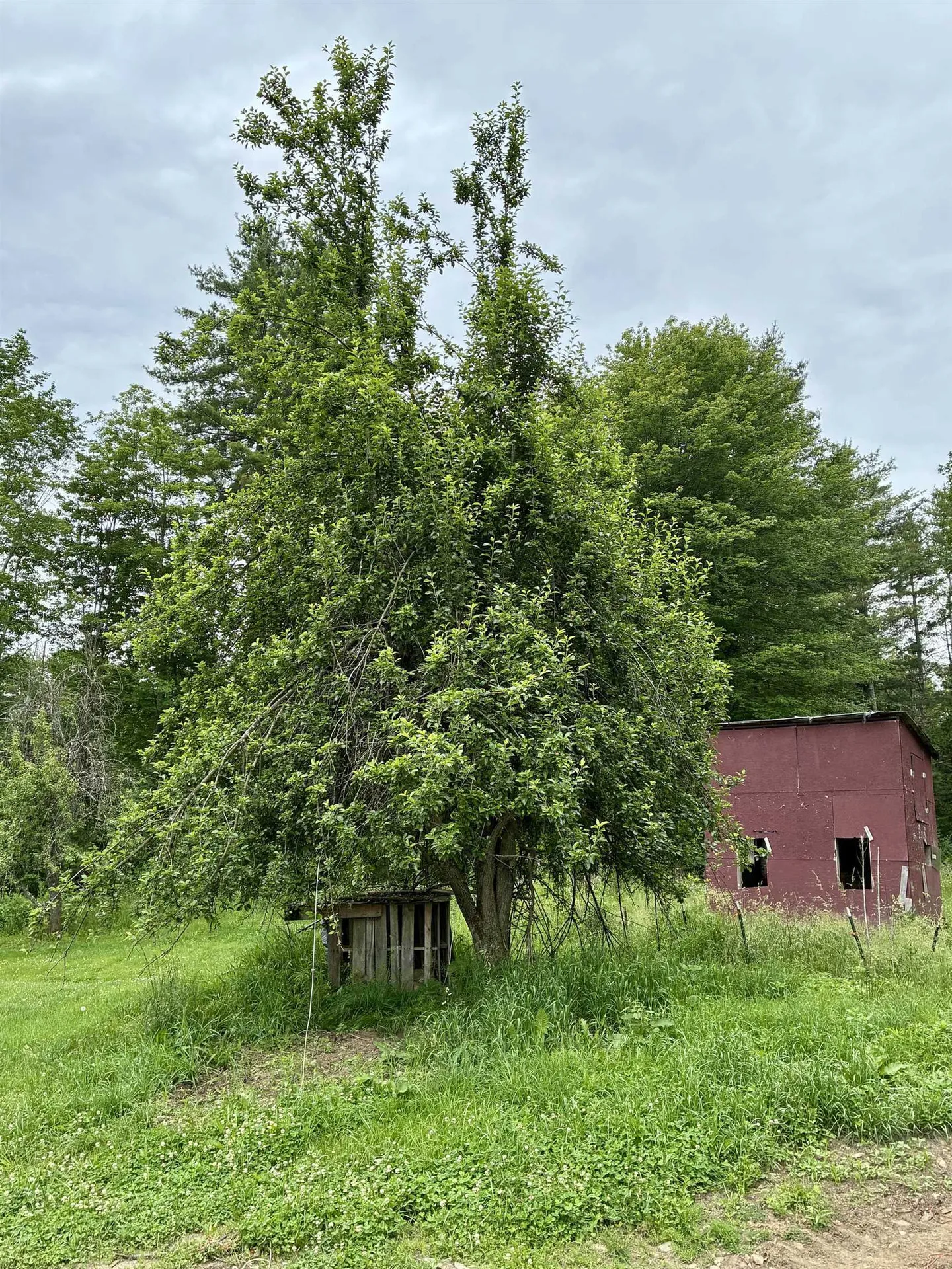 333 Us Route 5 Westminster VT 05158