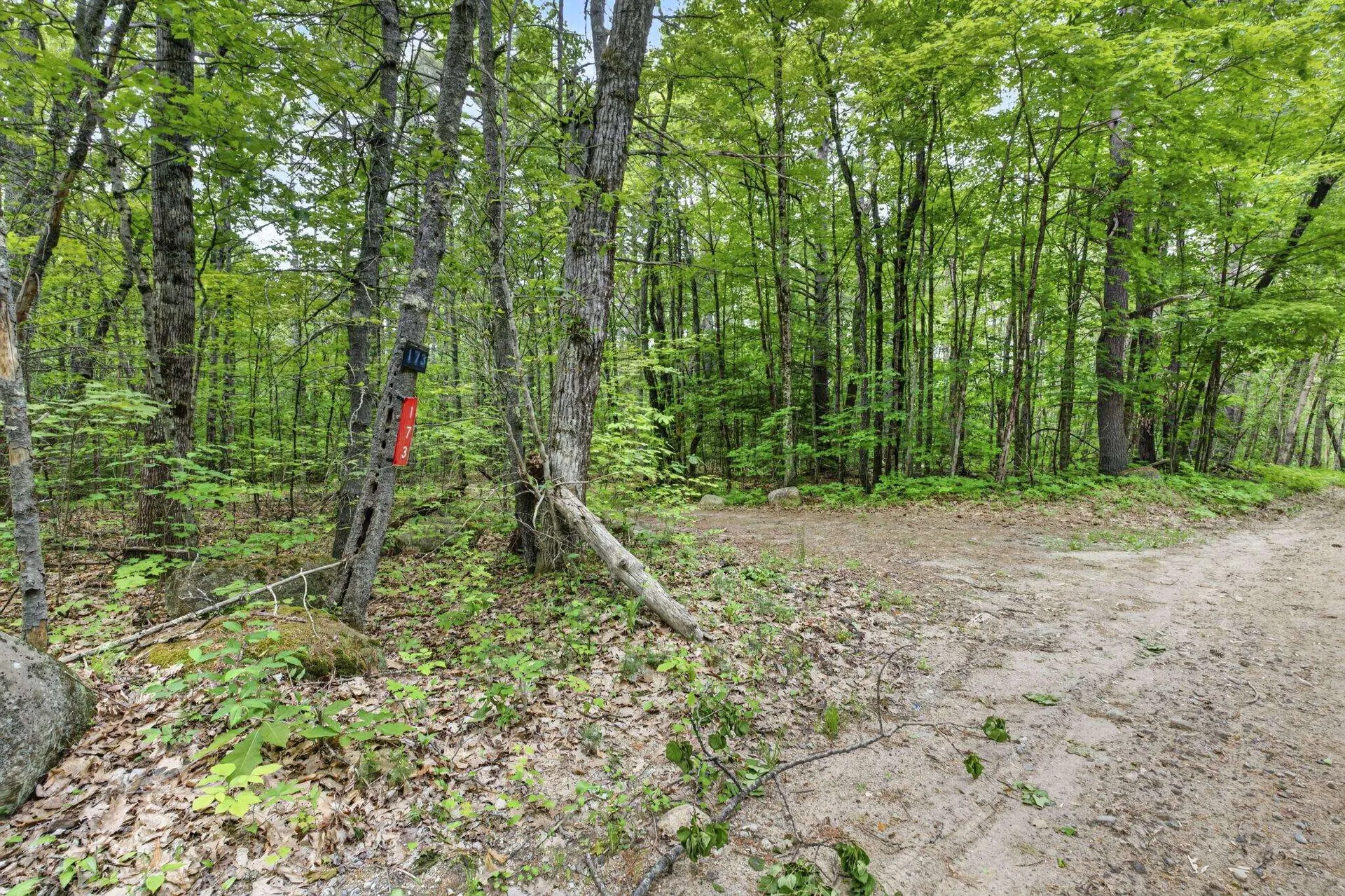 173 North Road Deering NH 03244
