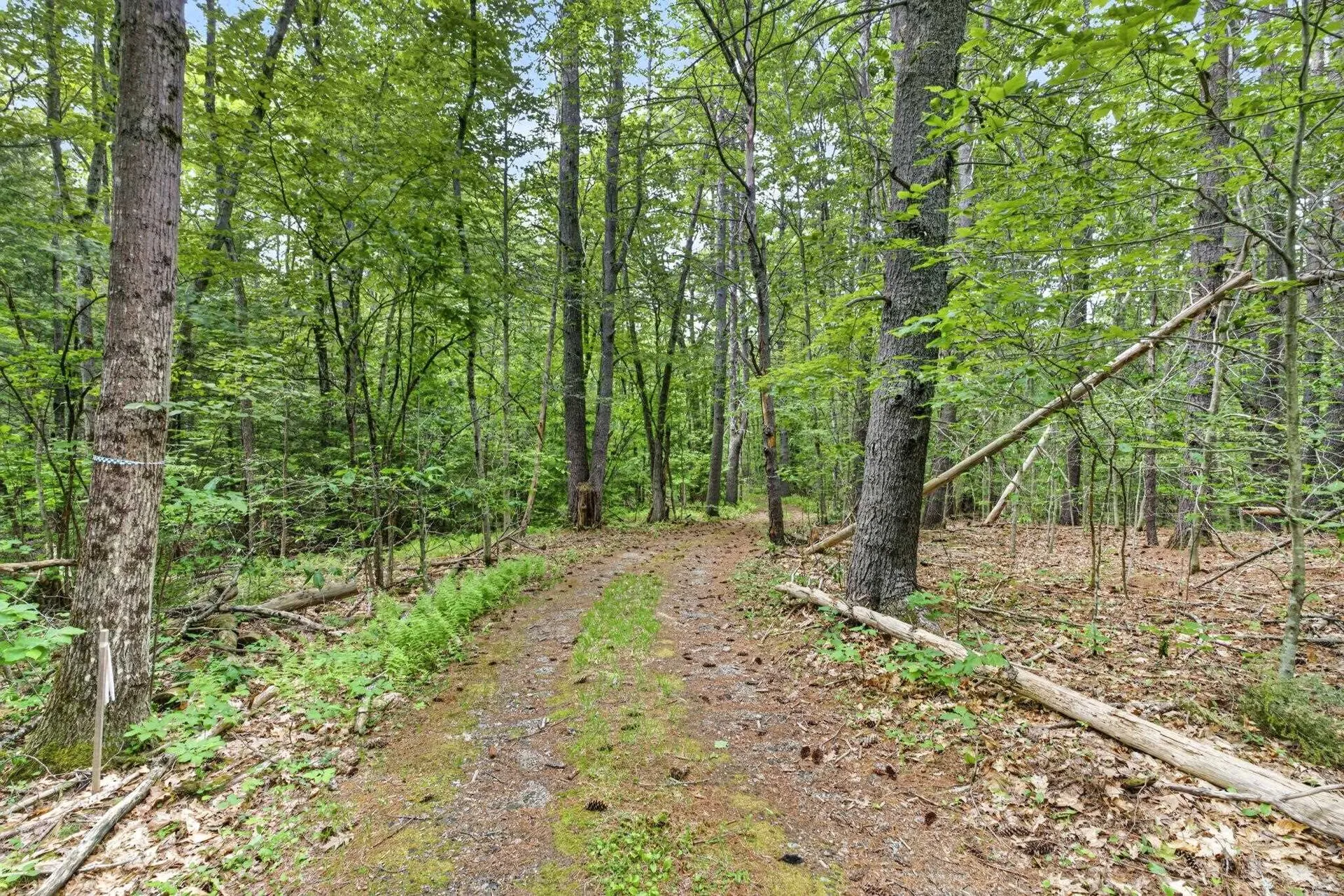 173 North Road Deering NH 03244