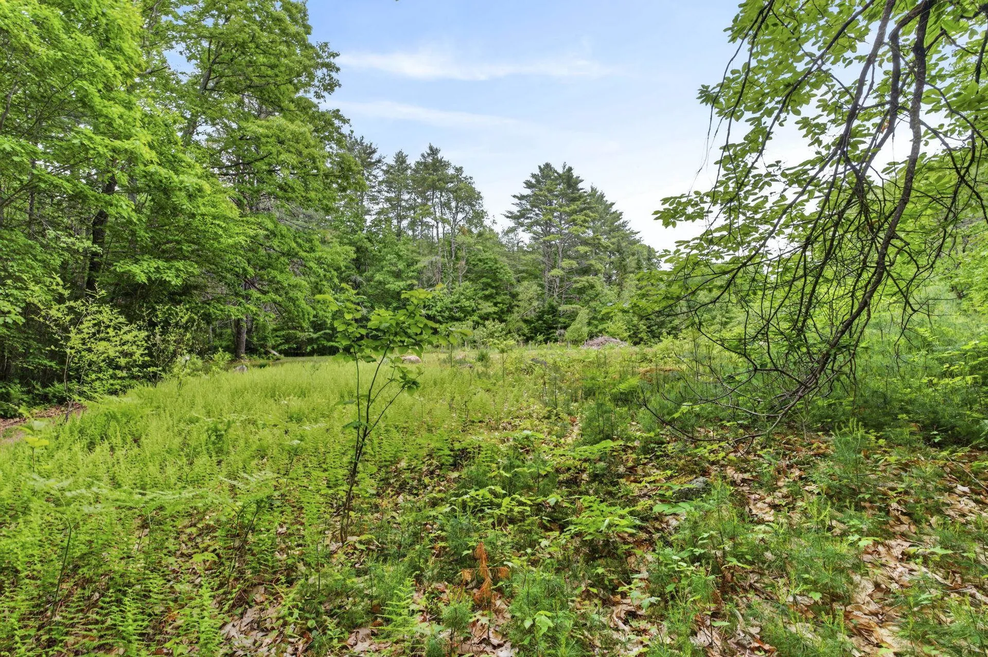 173 North Road Deering NH 03244