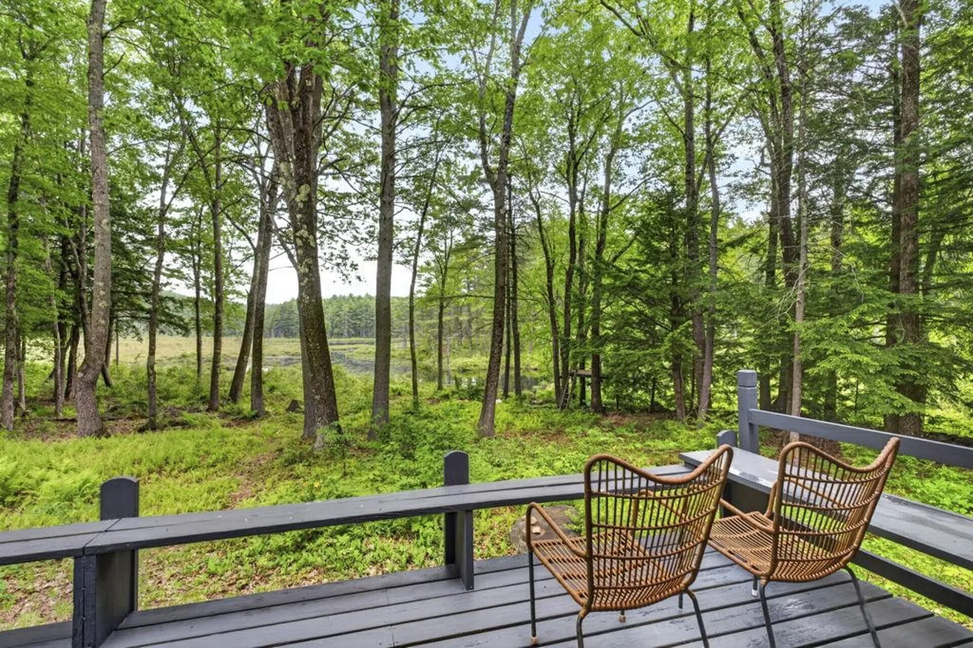 173 & 185 North Road Deering NH 03244