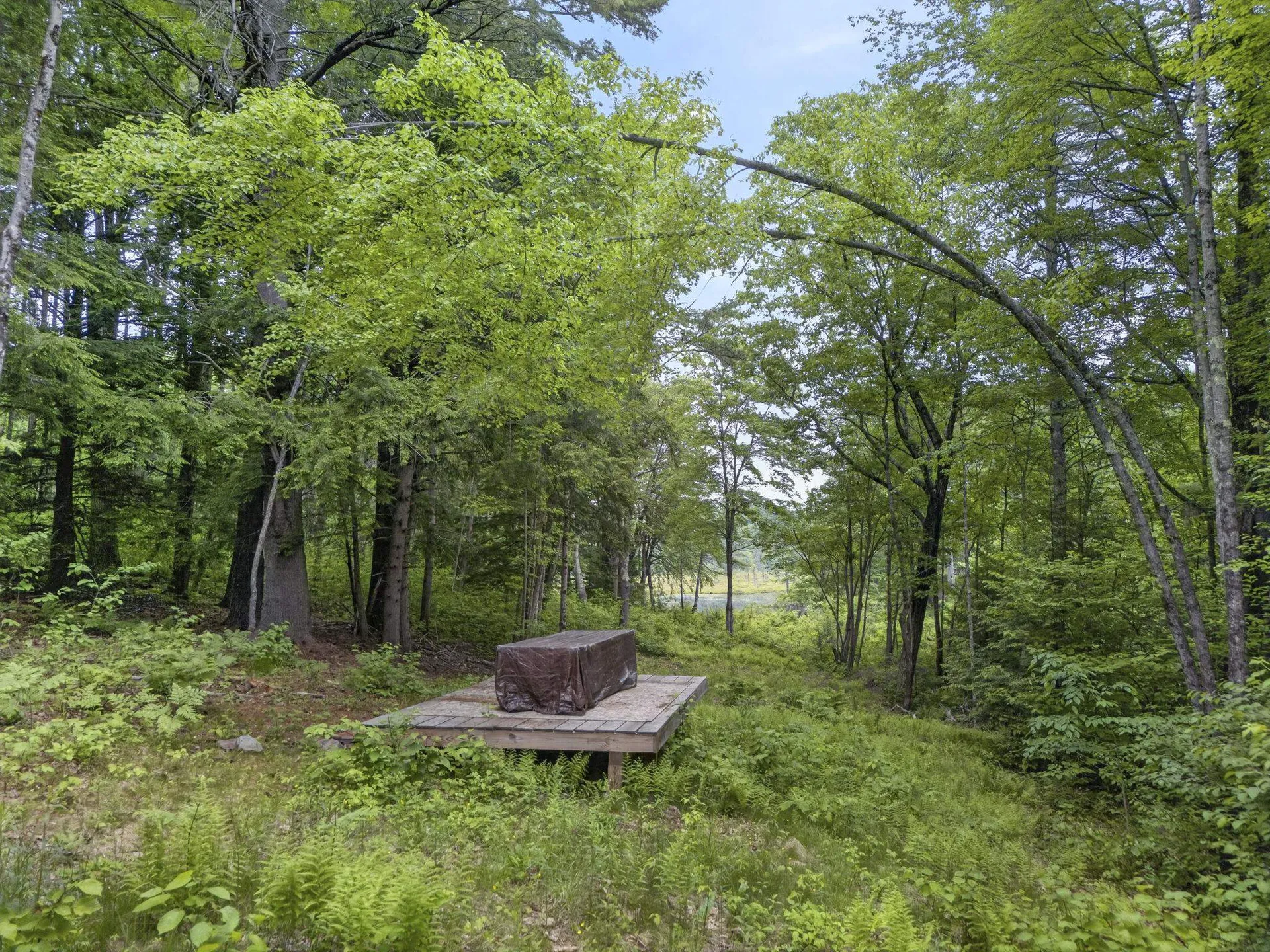 173 & 185 North Road Deering NH 03244