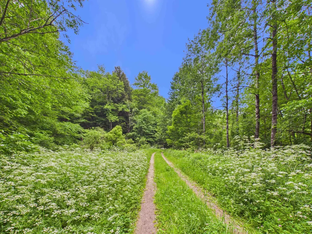 00 River Road Killington VT 05751