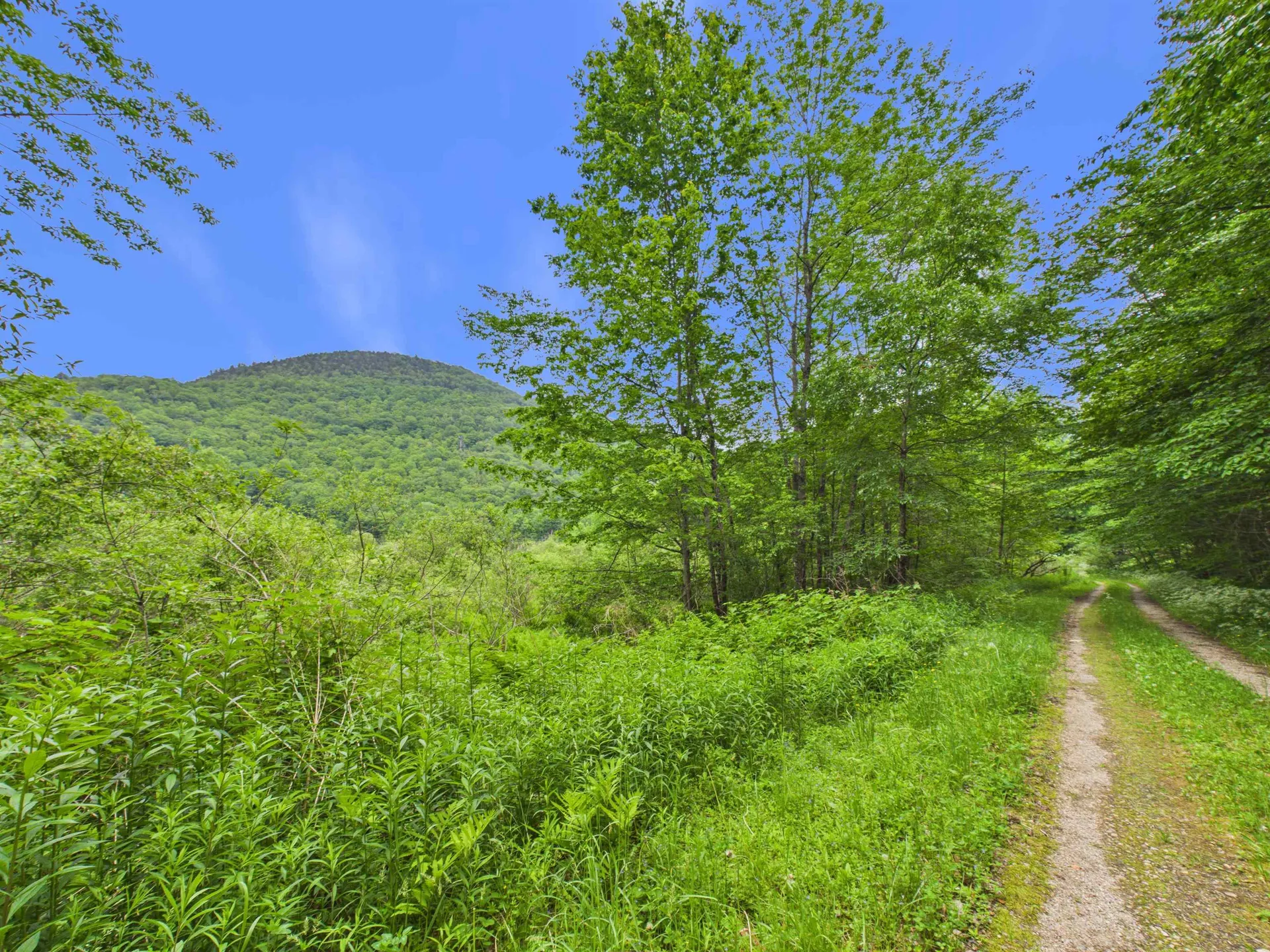 00 River Road Killington VT 05751