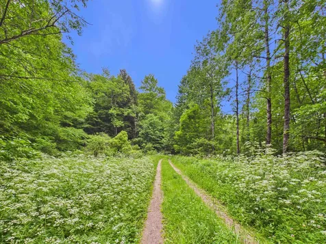 00 River Road Killington VT 05751