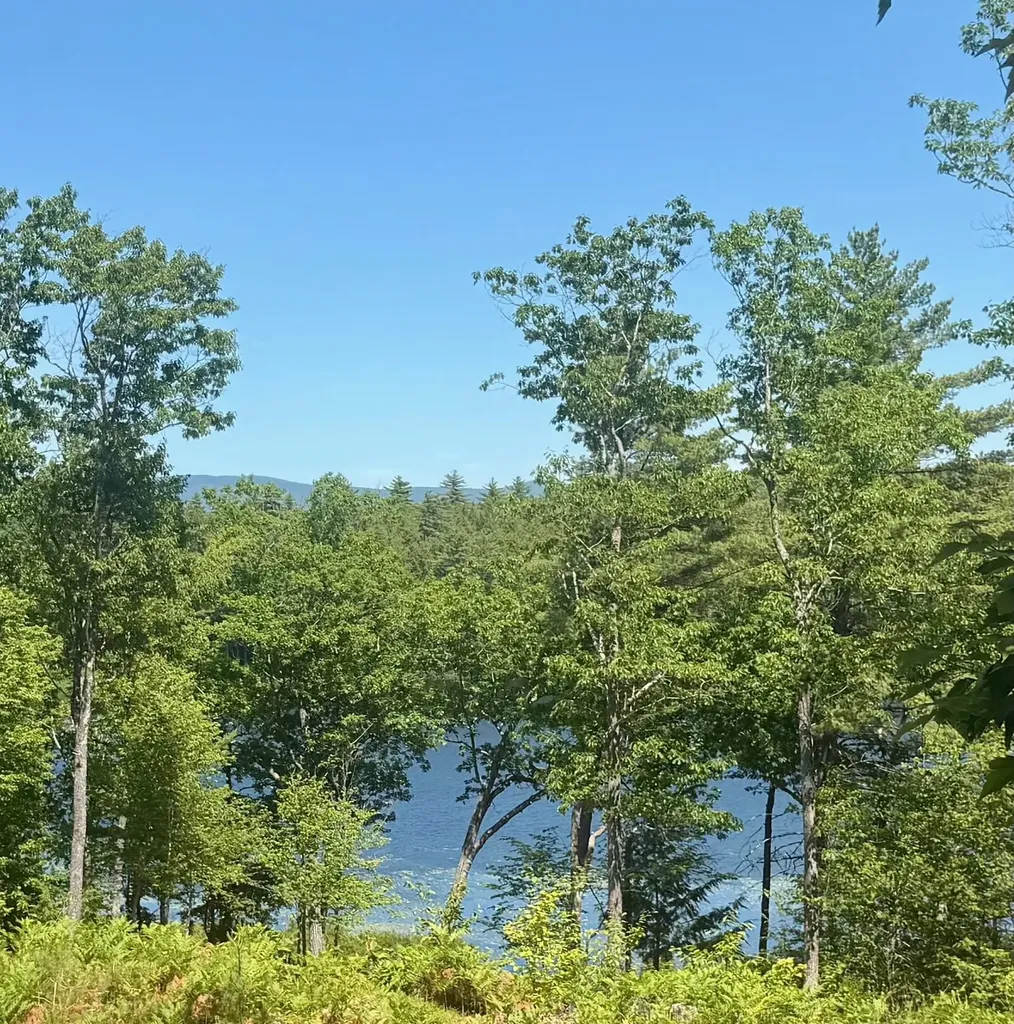 60 Snell Road Meredith NH 03253