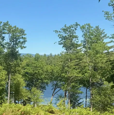60 Snell Road Meredith NH 03253