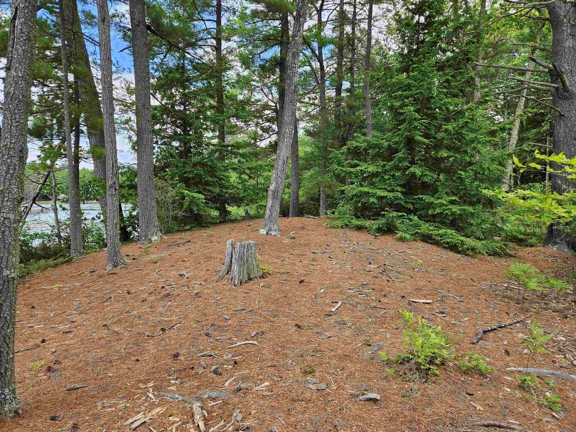 0 Meadow Pond Road Gilmanton NH 03237