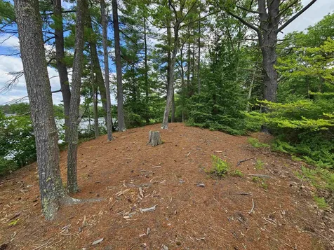 0 Meadow Pond Road Gilmanton NH 03237