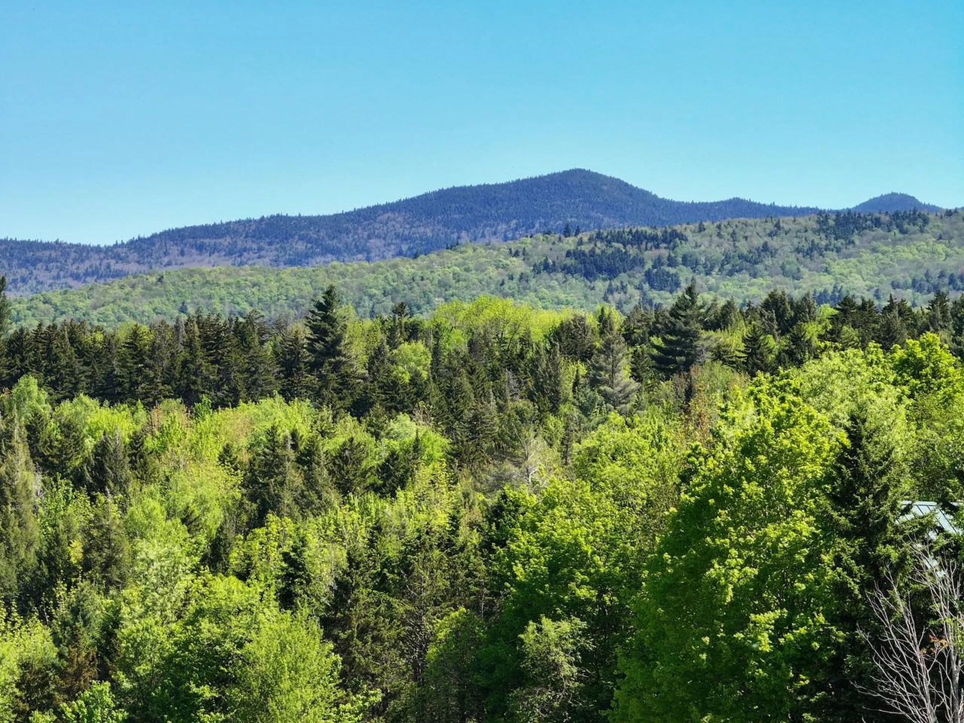 Lot 4 Weaver Road Huntington VT 05462