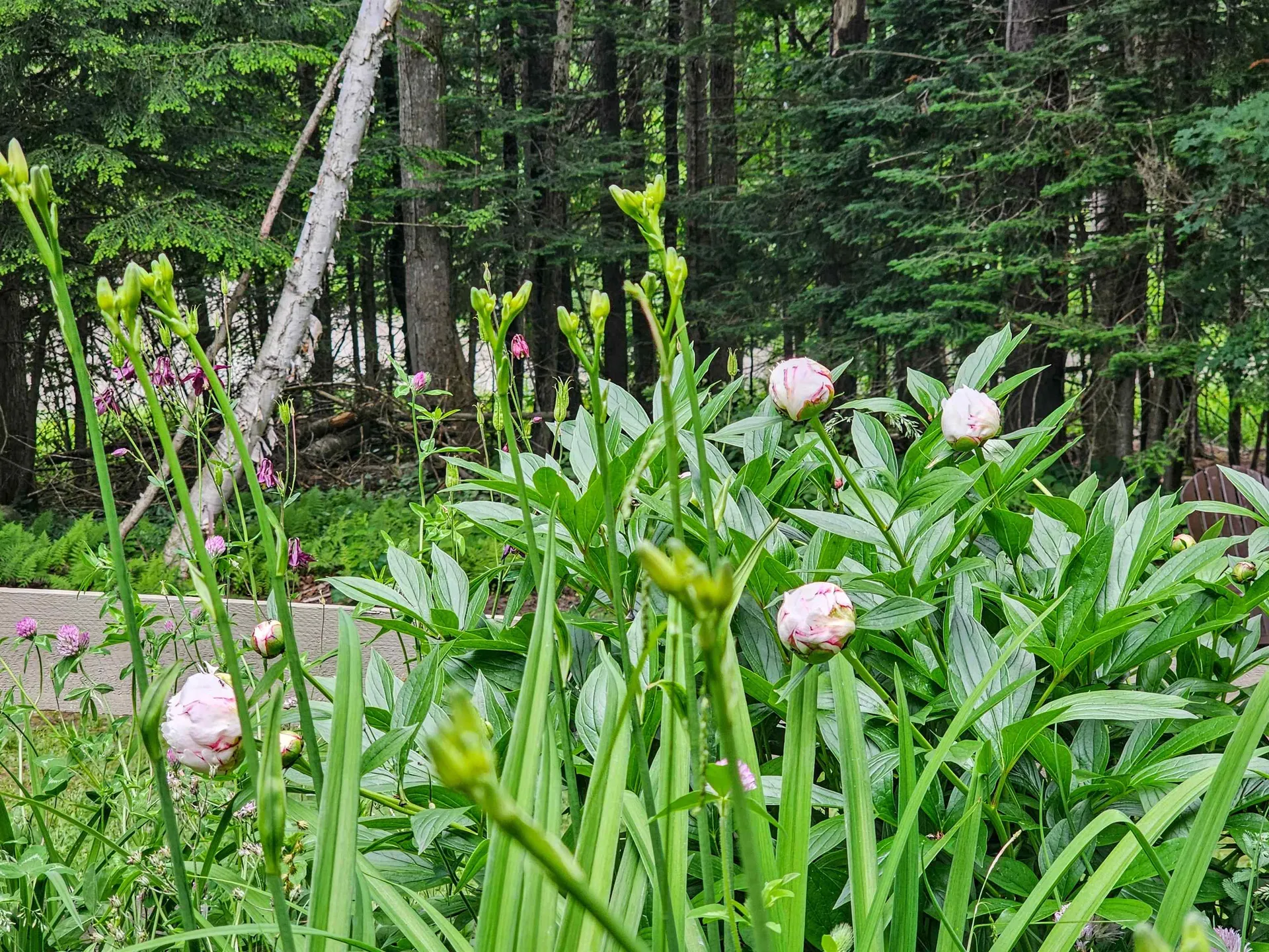 60 East Brook Crossing Wilmington VT 05363