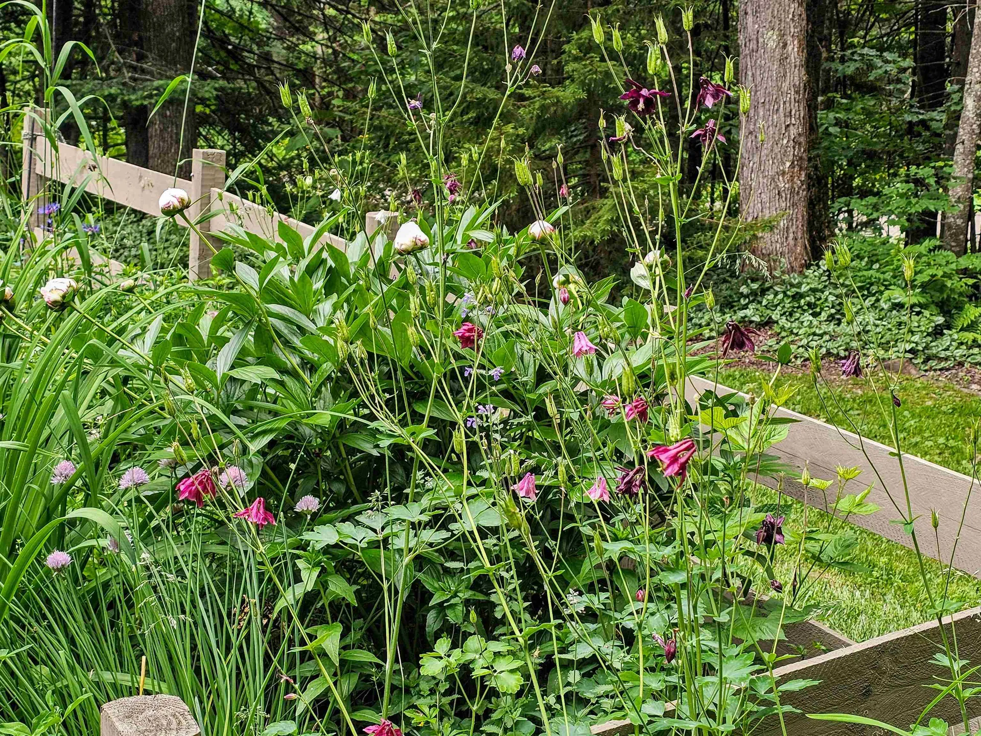 60 East Brook Crossing Wilmington VT 05363