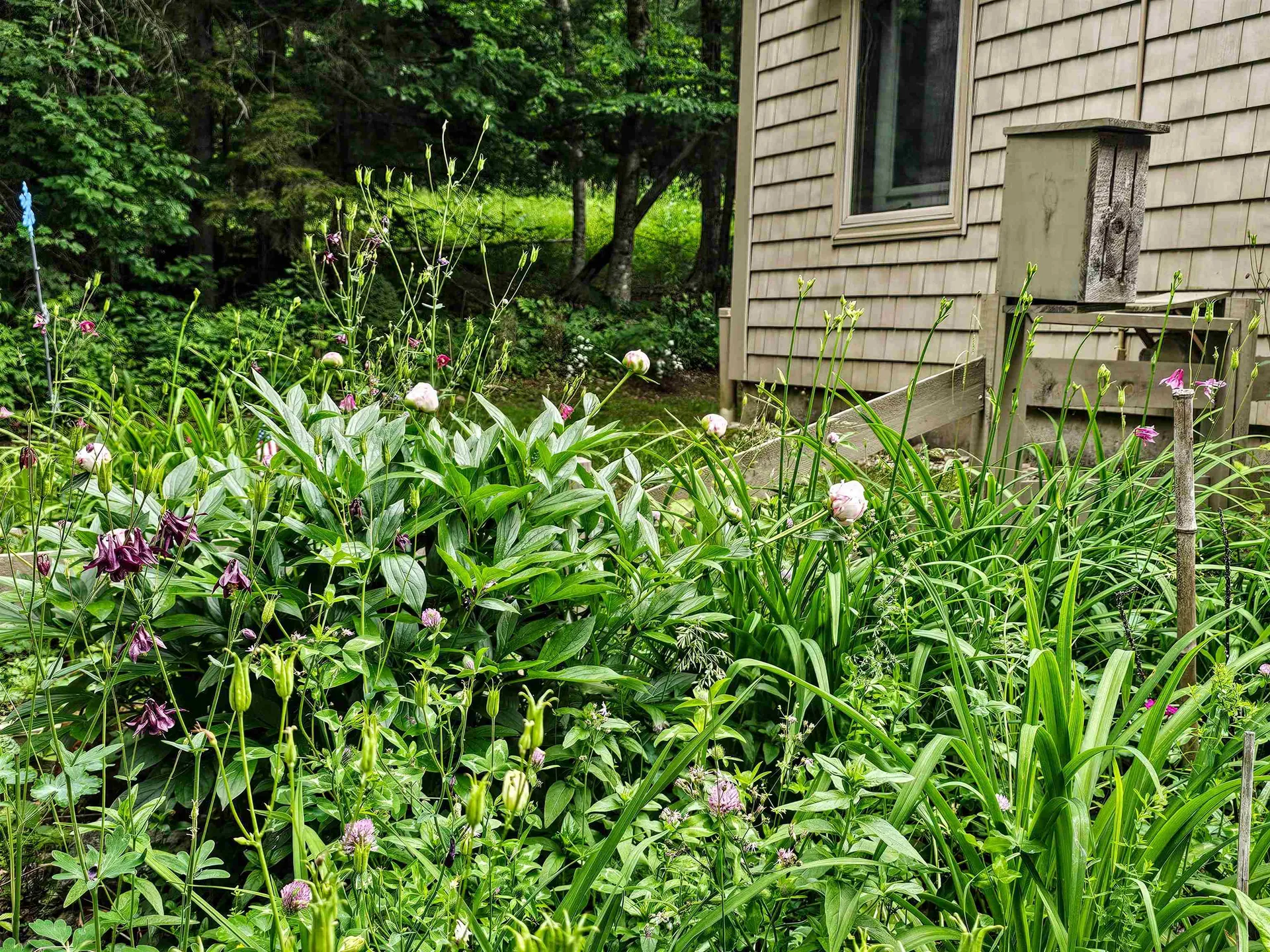 60 East Brook Crossing Wilmington VT 05363