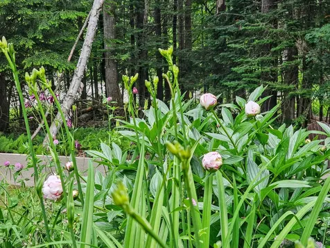60 East Brook Crossing Wilmington VT 05363