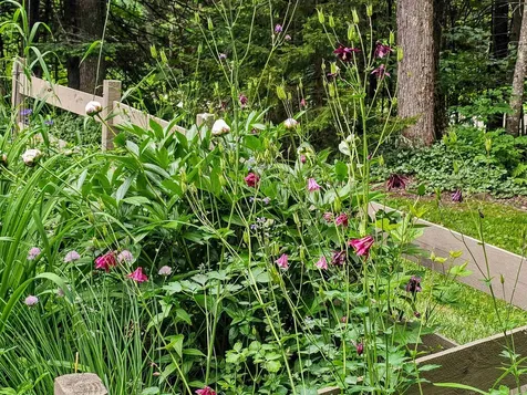 60 East Brook Crossing Wilmington VT 05363