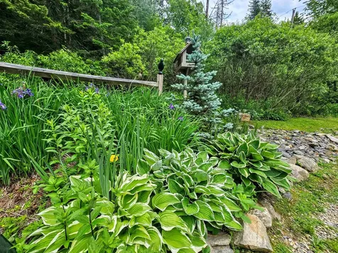 60 East Brook Crossing Wilmington VT 05363