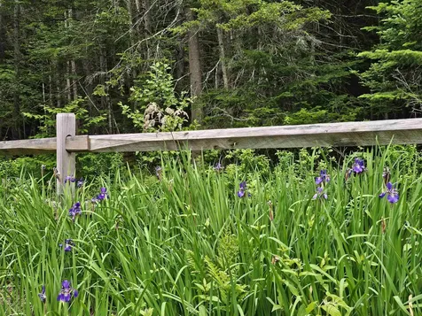 60 East Brook Crossing Wilmington VT 05363