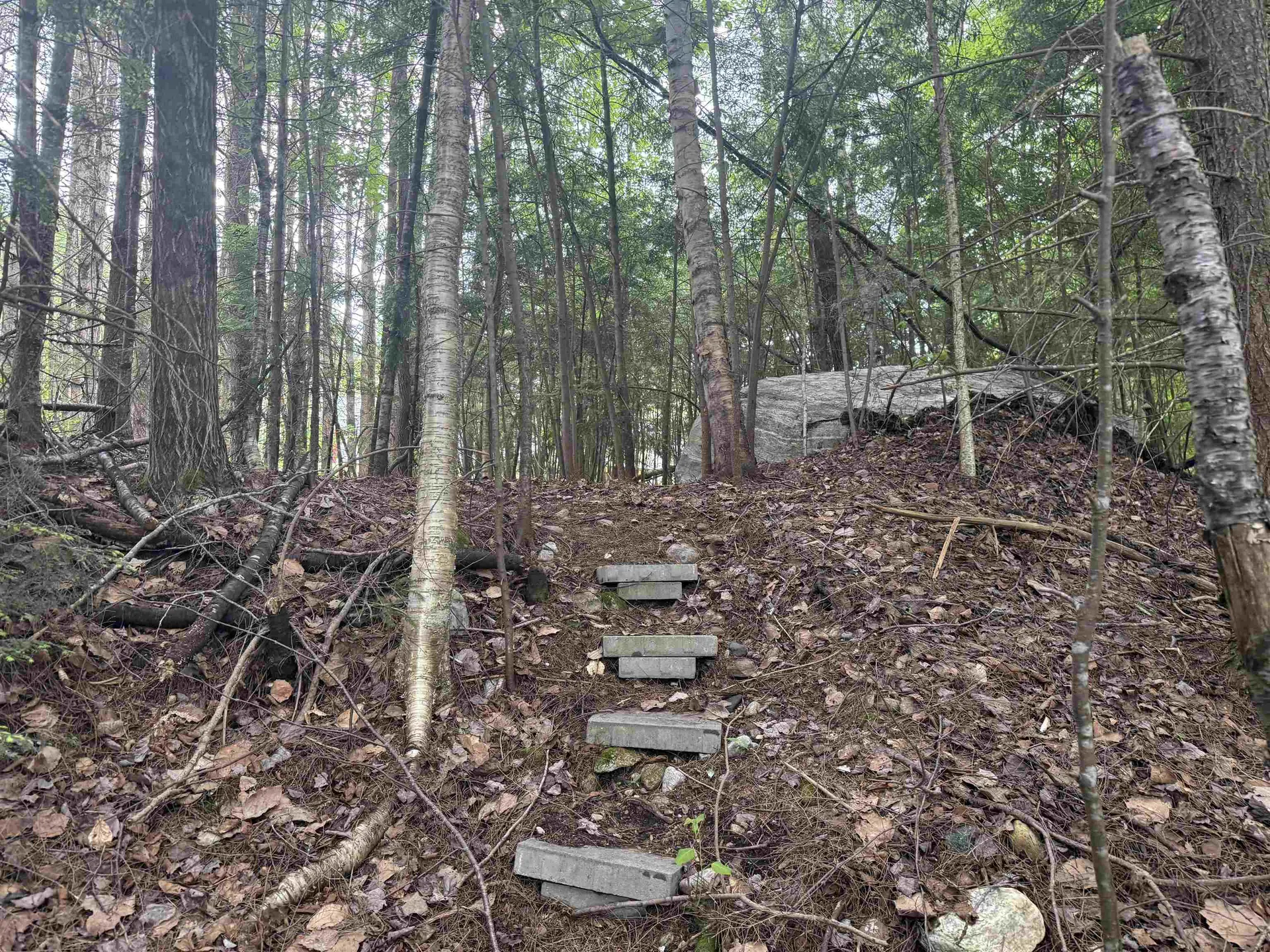 58 Stone Hollow Road Londonderry VT 05148