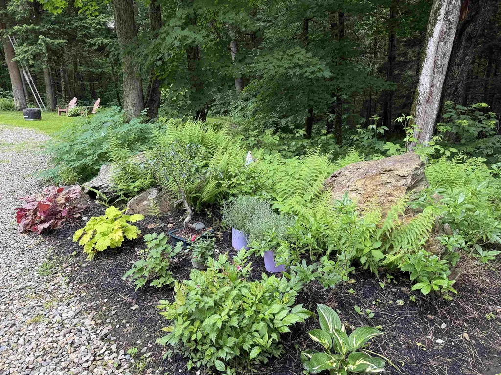 927 River Edge Road Morristown VT 05661