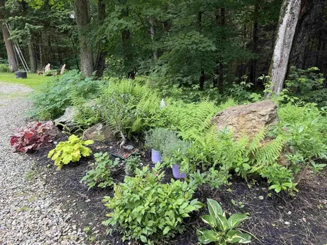 927 River Ridge Road Morristown VT 05661
