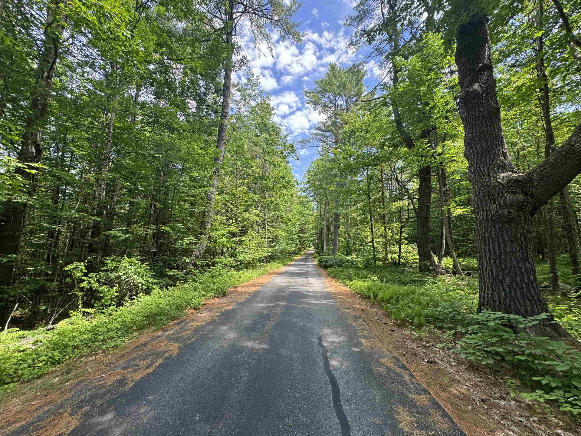 44 Pease Road Meredith NH 03253