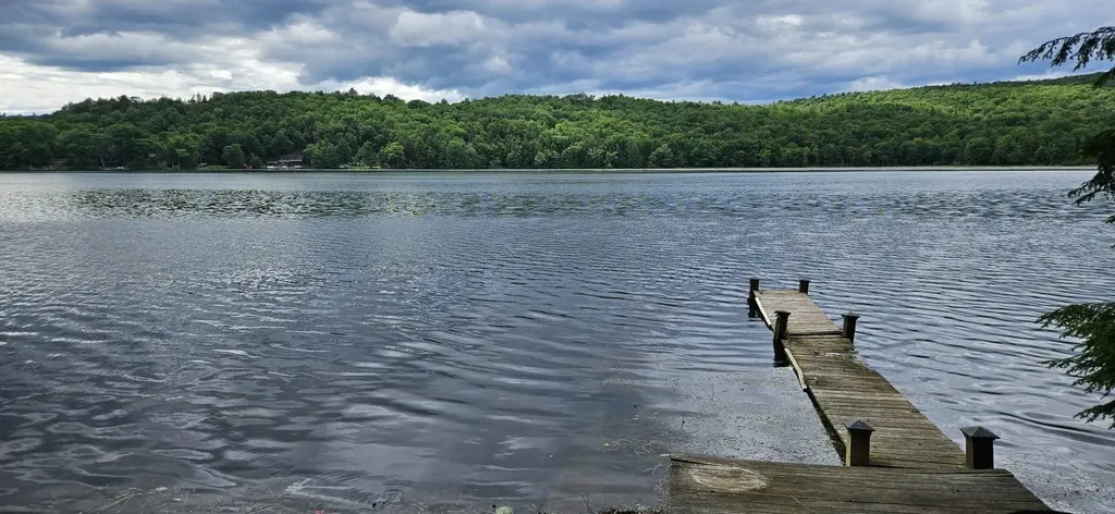 289 Ledgemere Point Hubbardton VT 05732