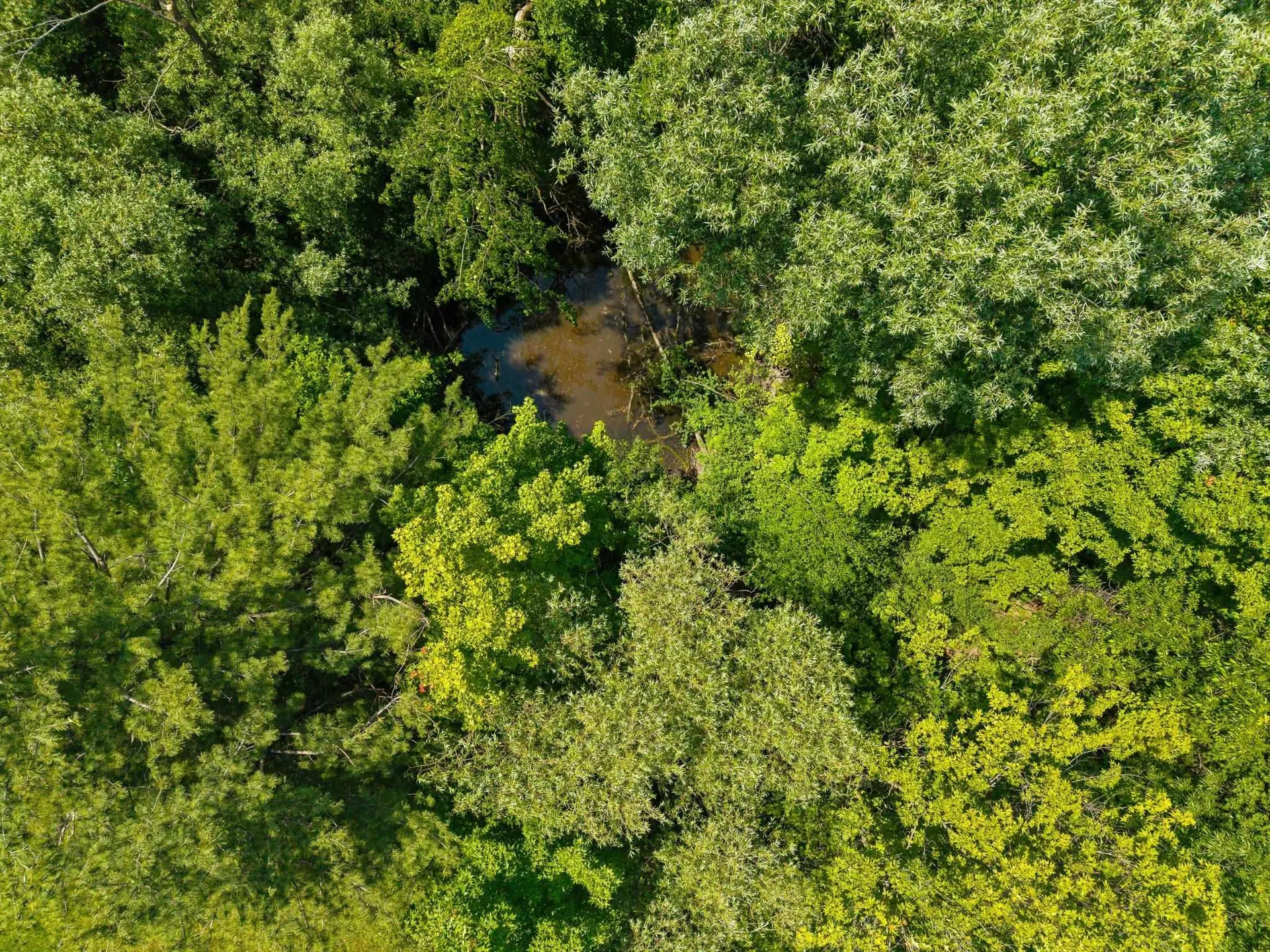 579 Crown Point Road Bridport VT 05734