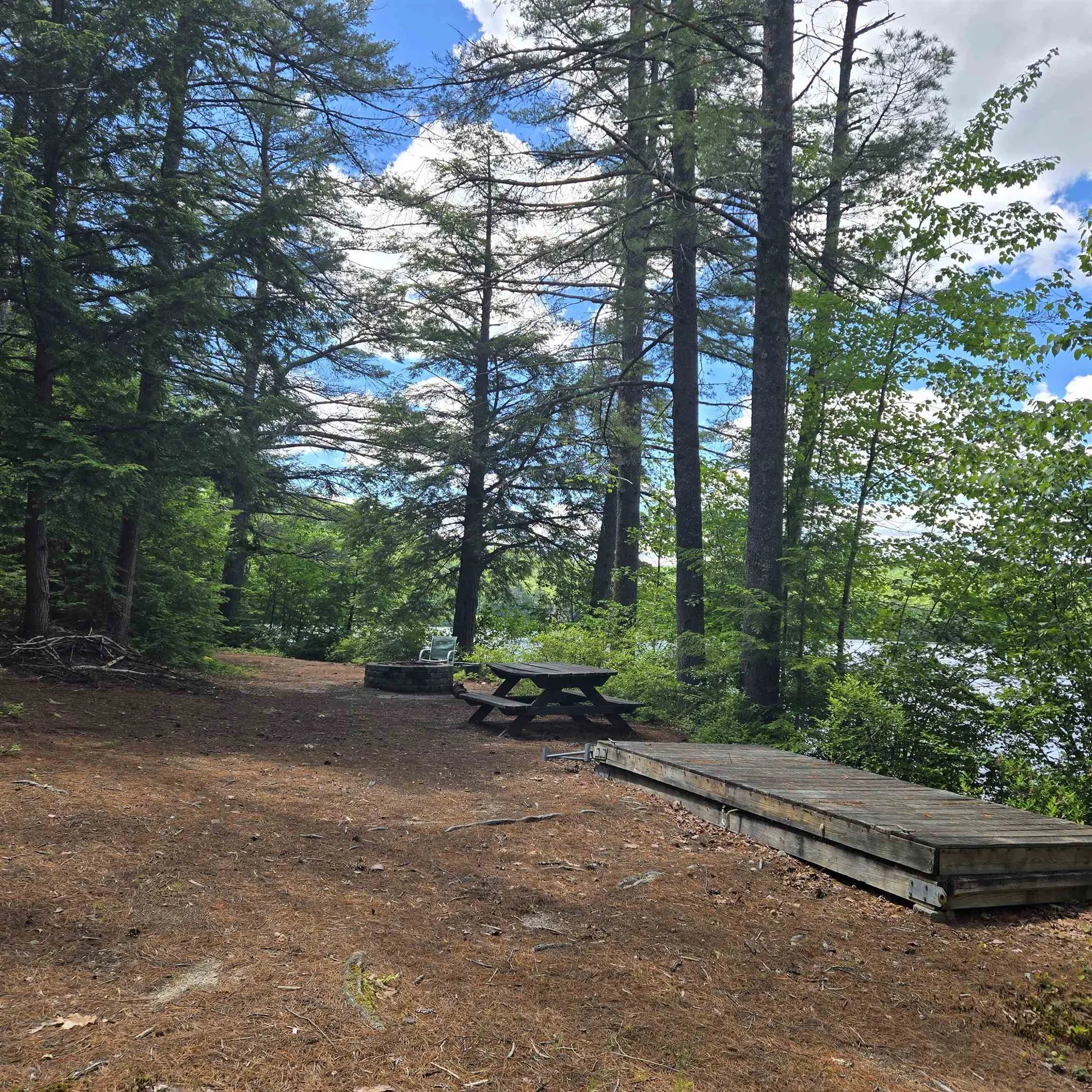 81 Swan Point Hiram ME 04041