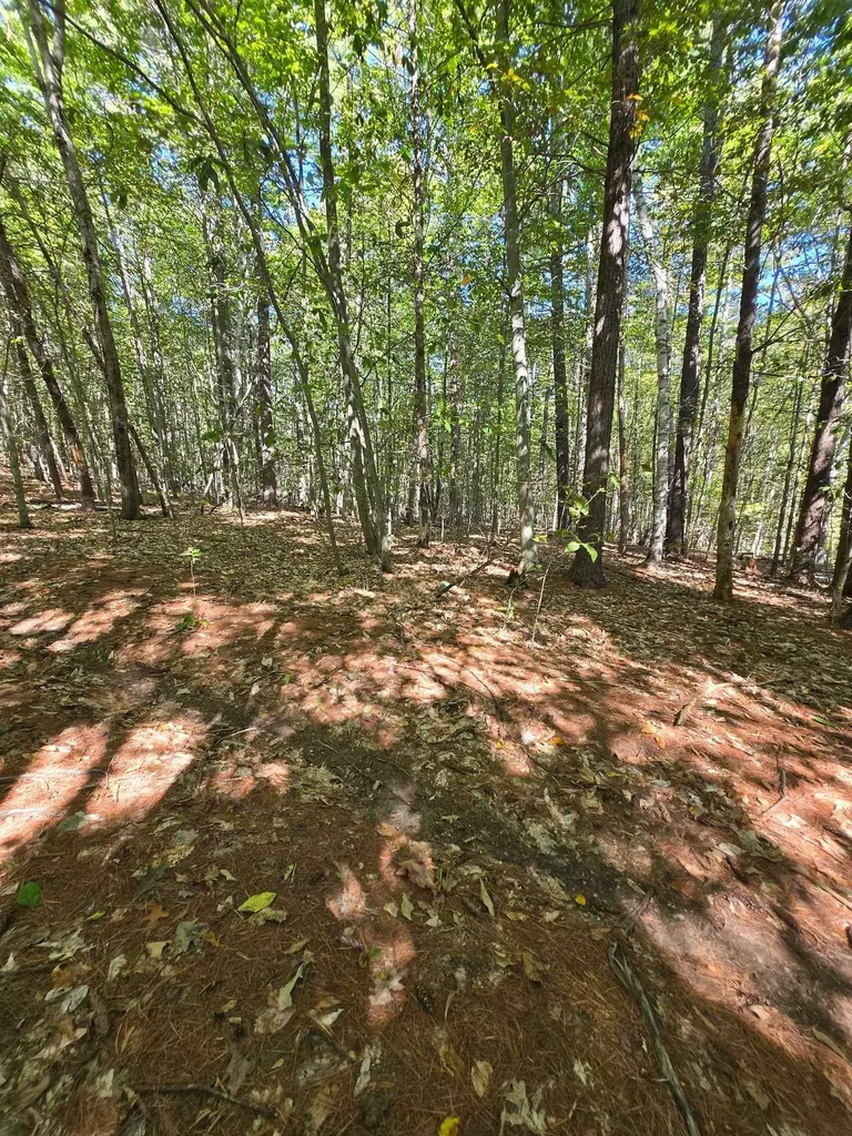 0 Grove Road New Durham NH 03855