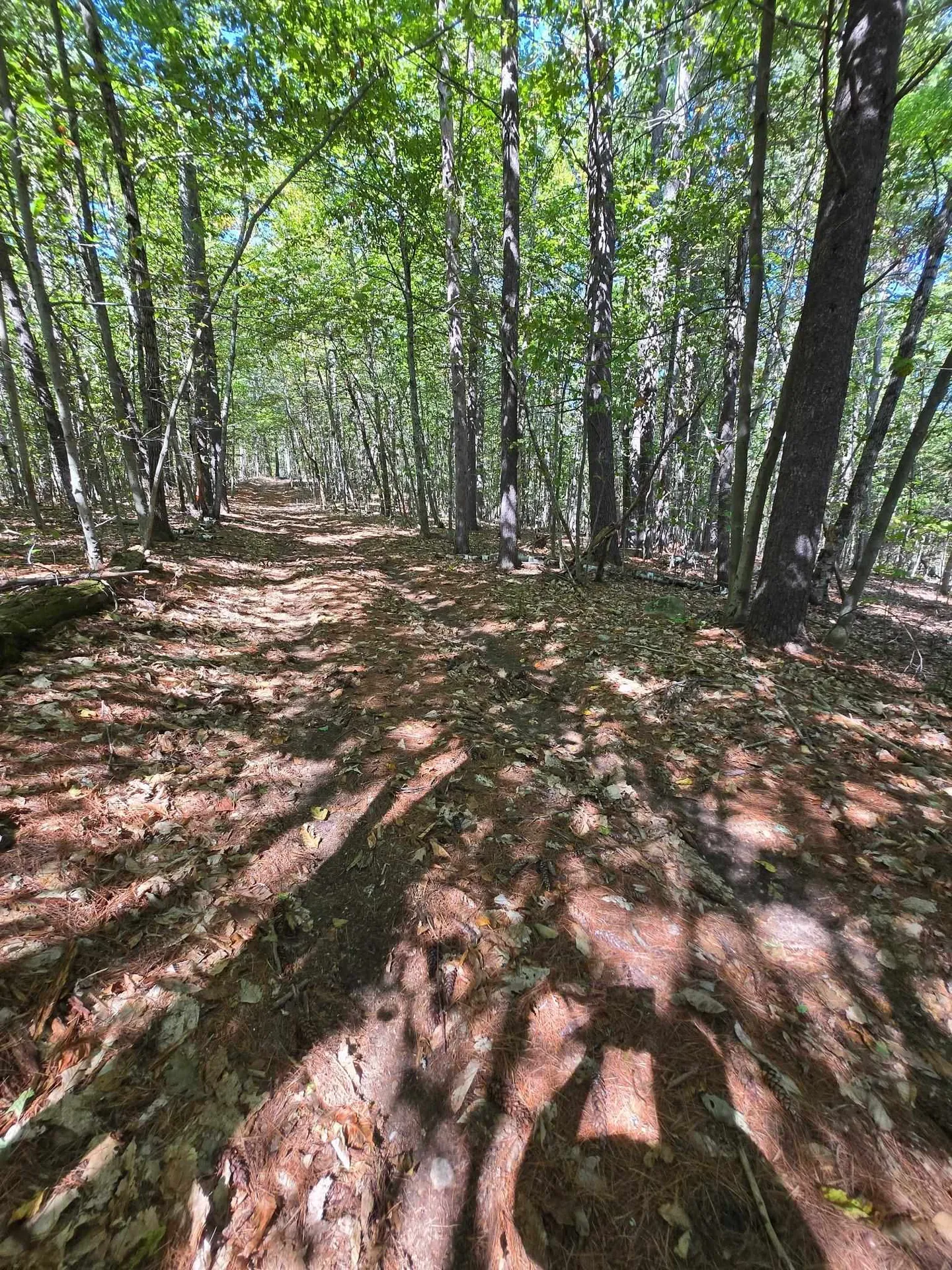0 Grove Road New Durham NH 03855