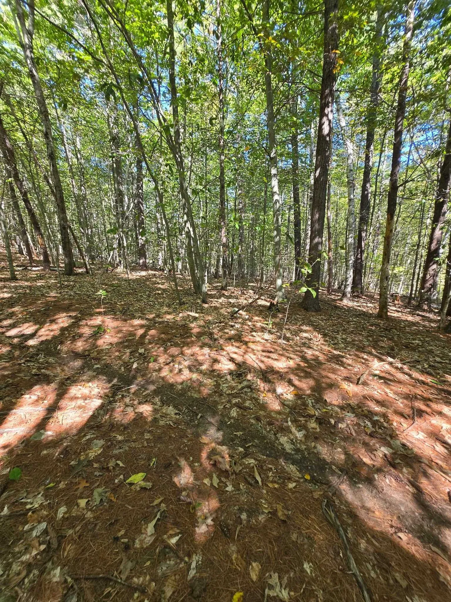 0 Grove Road New Durham NH 03855
