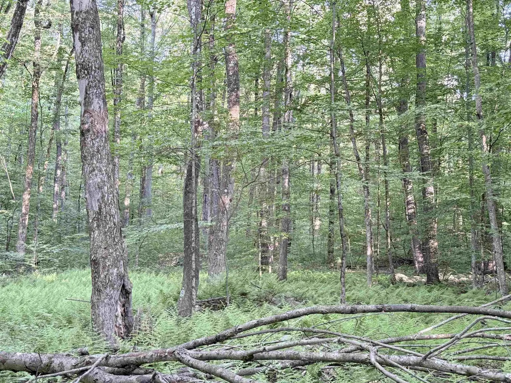 498 Town Line Road Bennington VT 05201