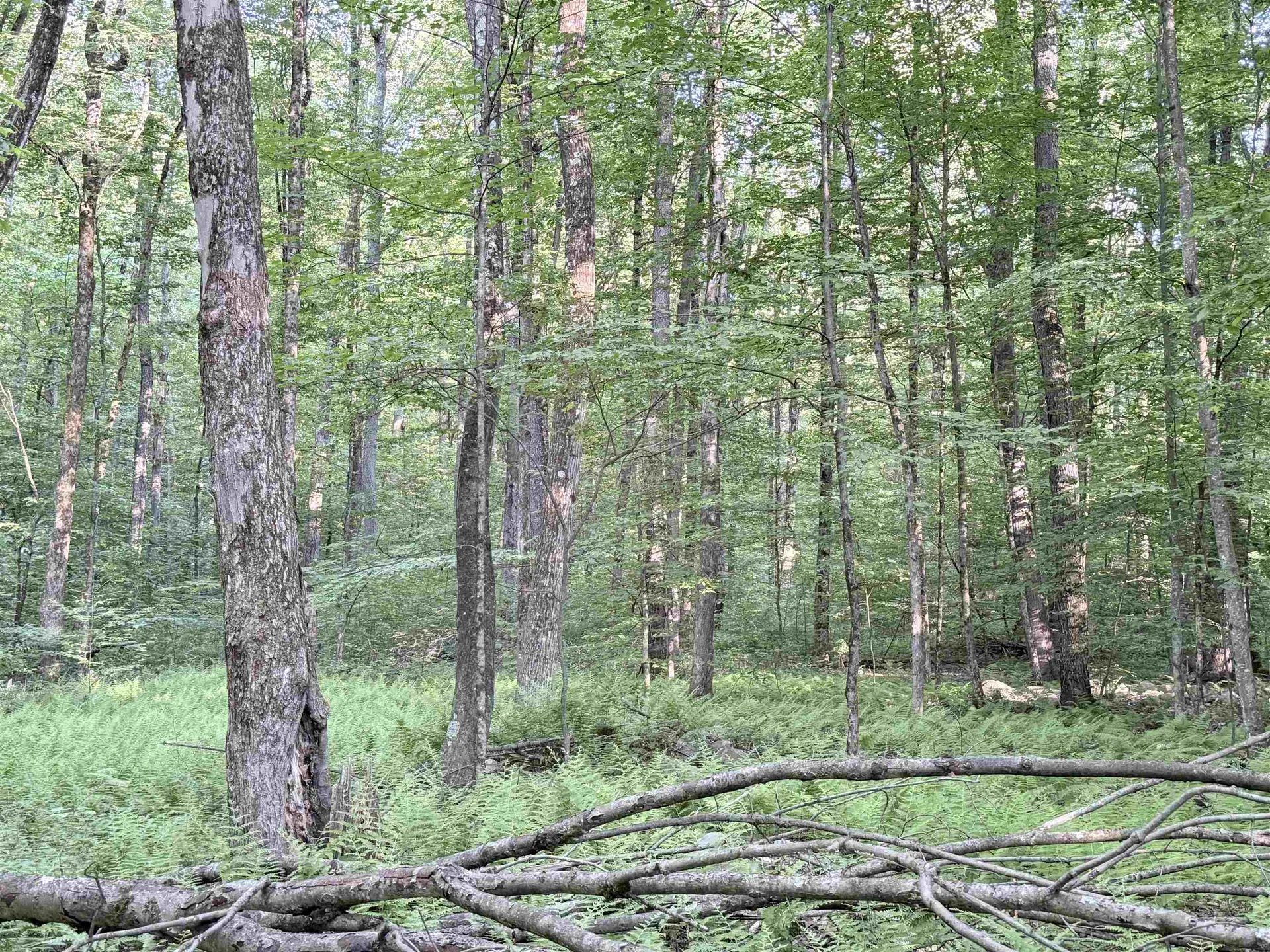 498 Town Line Road Bennington VT 05201