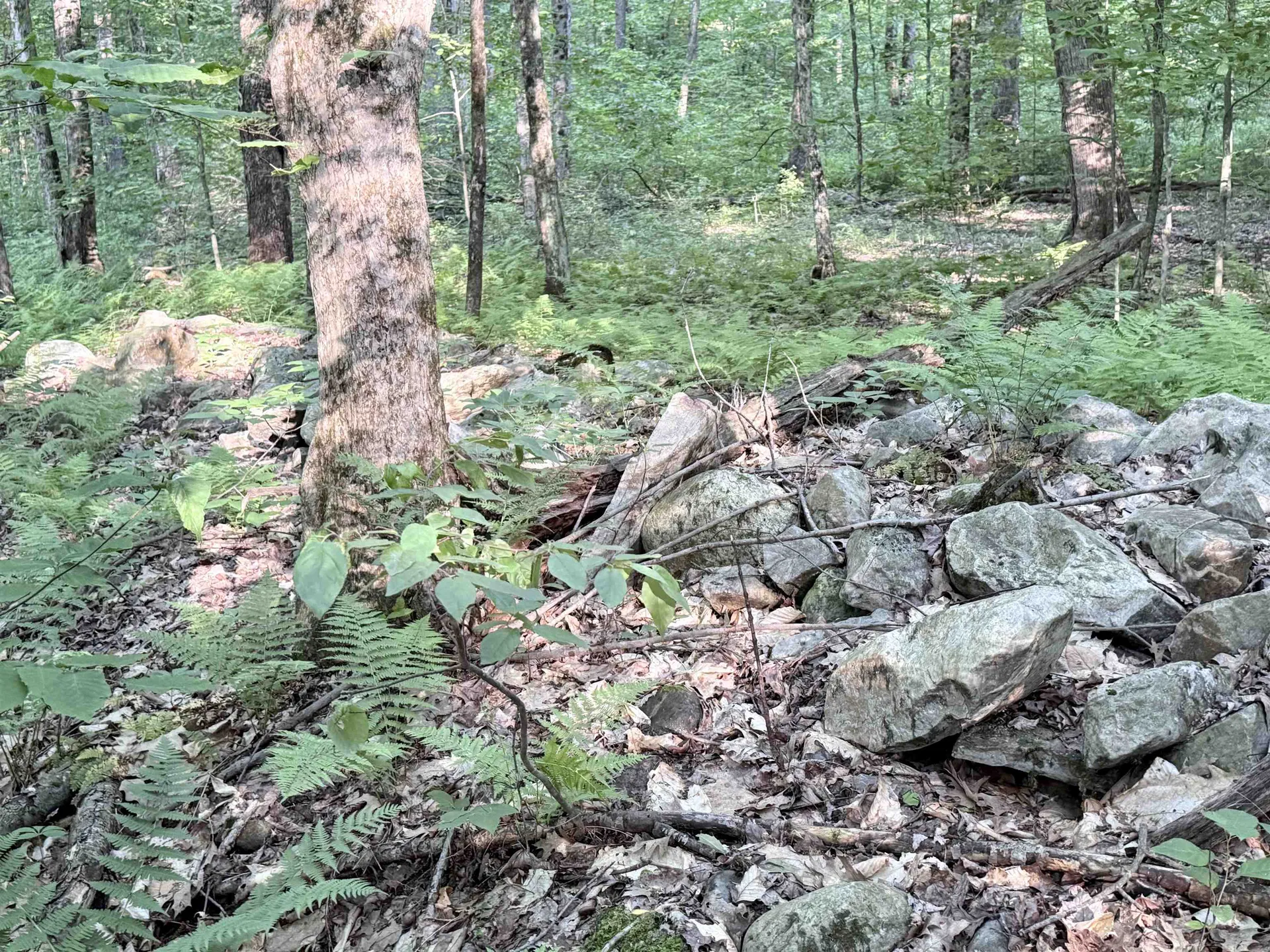 498 Town Line Road Bennington VT 05201