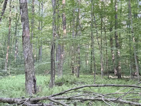 498 Town Line Road Bennington VT 05201