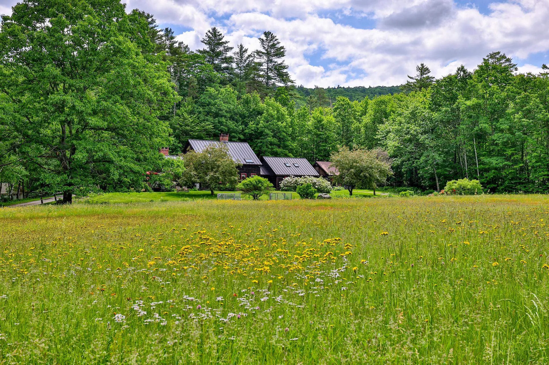 58 Lakeshore Drive Ludlow VT 05149
