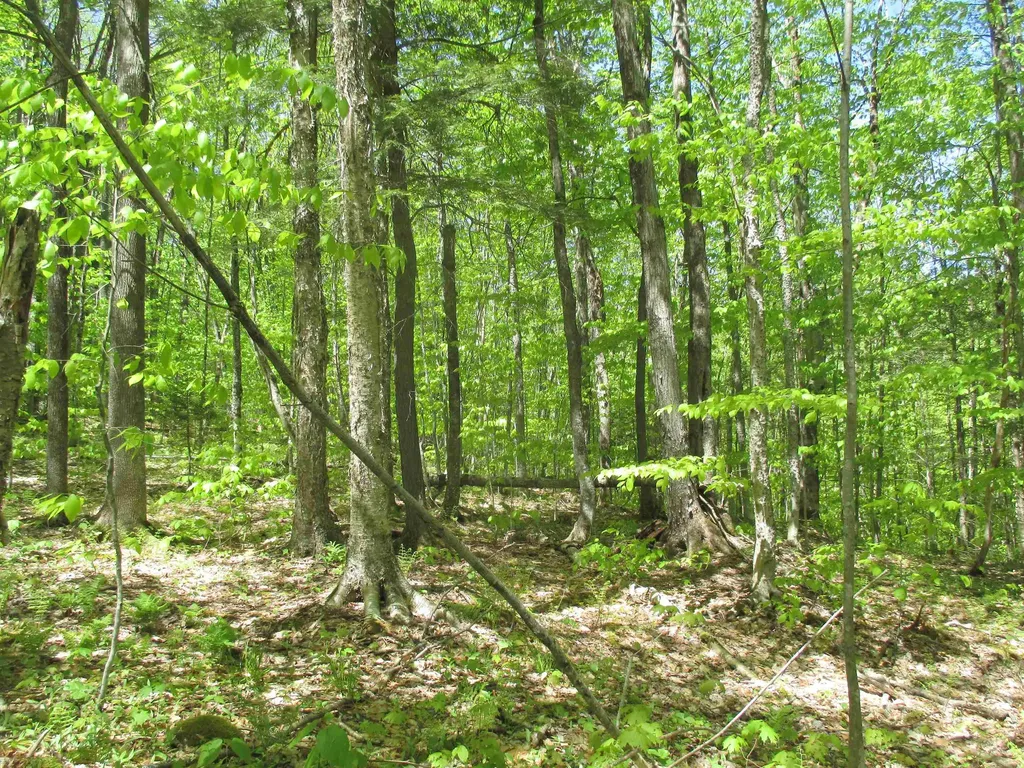 798 Ballground Road Westfield VT 05874